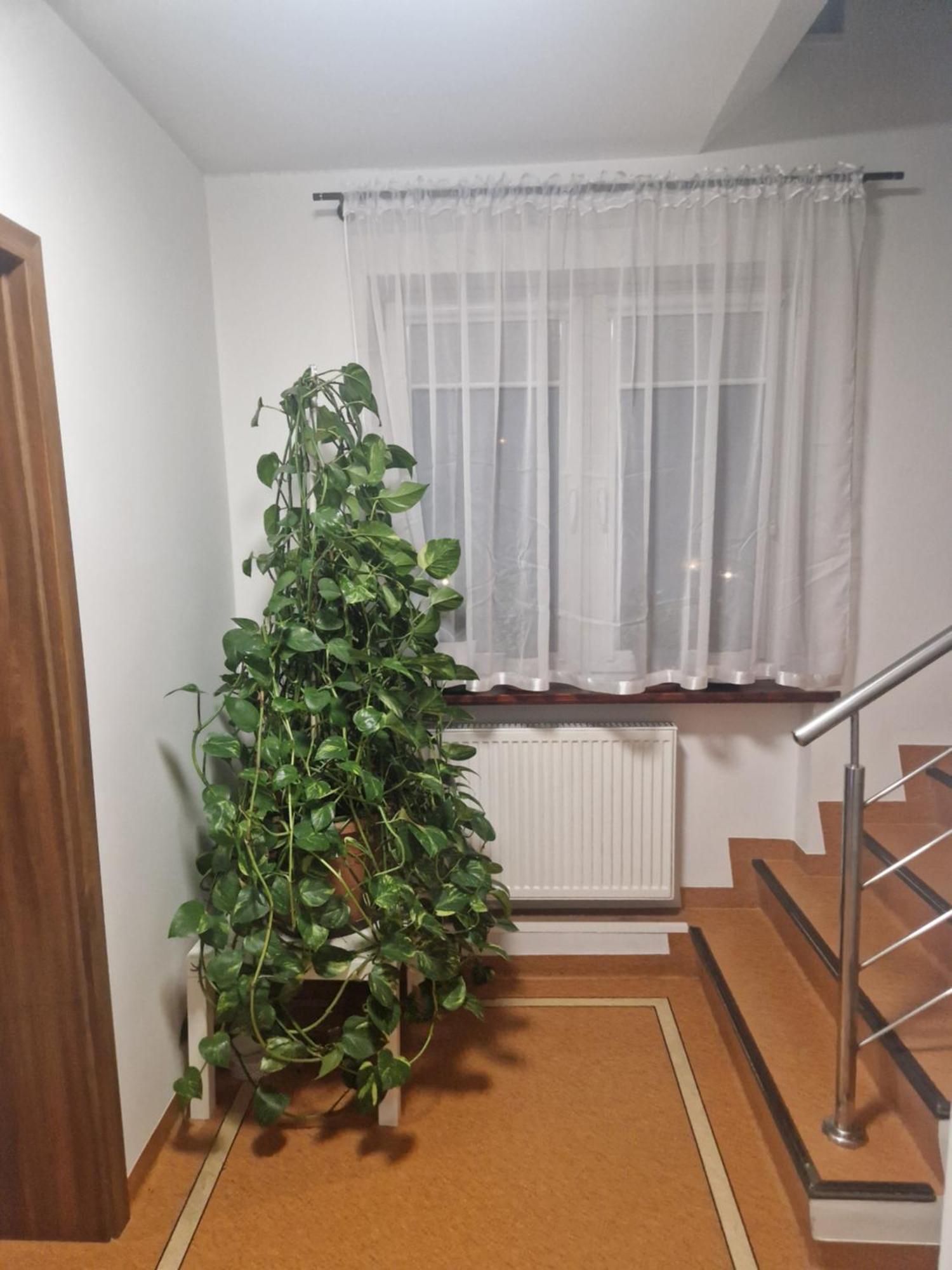 Noclegi Budomas Budget Wroclaw-Szymanow Freeparking Smarttv Exterior photo